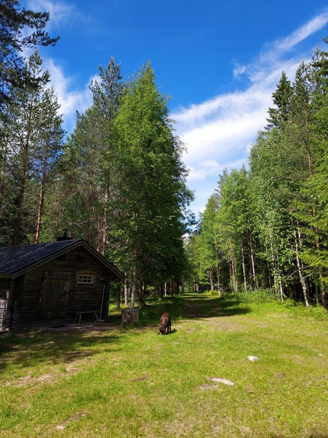 The Old Logging Camp Villa Yttermalung Kültér fotó