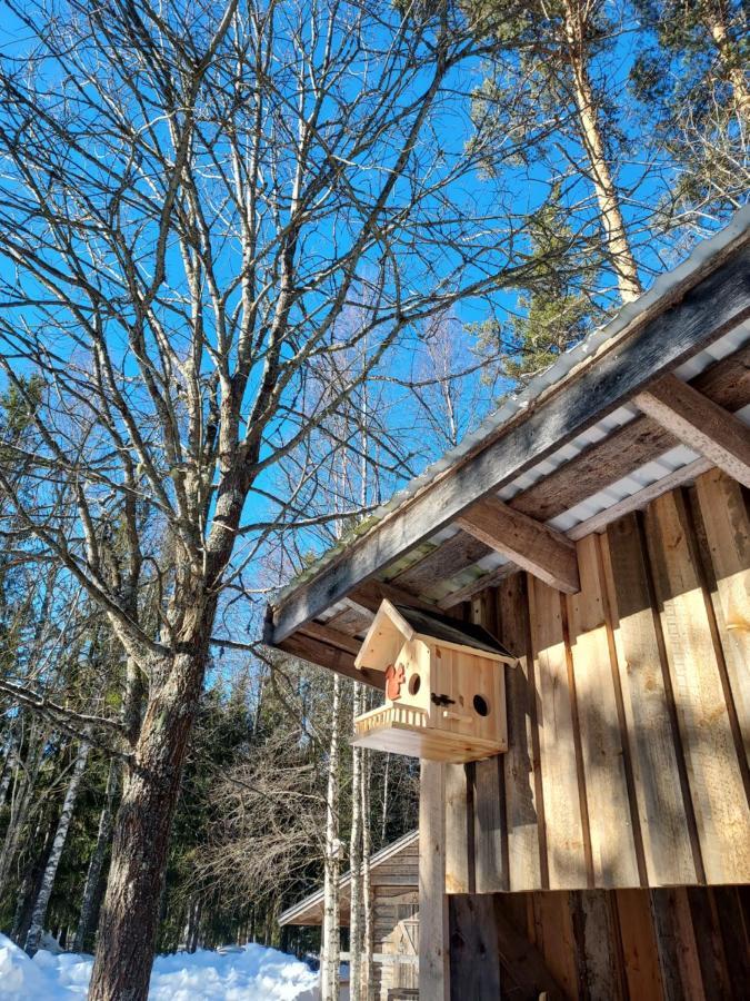 The Old Logging Camp Villa Yttermalung Kültér fotó